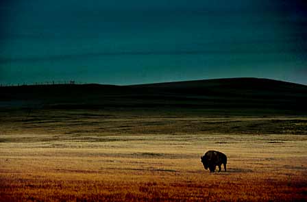 Badlands National Park, South Dakota, 1988
