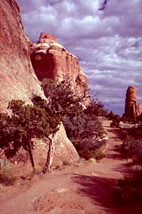 Devil's Garden Trail, Arches NP, 1984