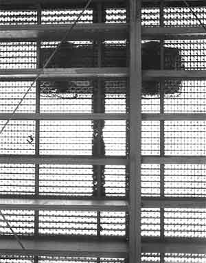 Under the free bridge, 1993