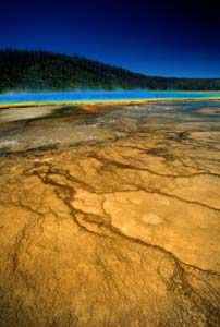 Geyser trail, Yellowstone National Park, 1995