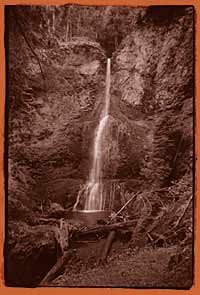 Marymere Falls, Olympic National Park