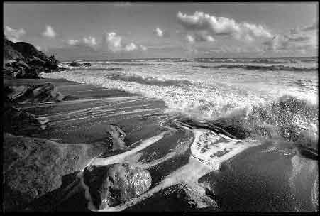 Olympic National Park beach