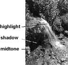 ...than in landscapes.